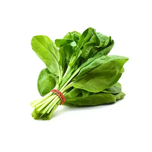 اسفناج.webp