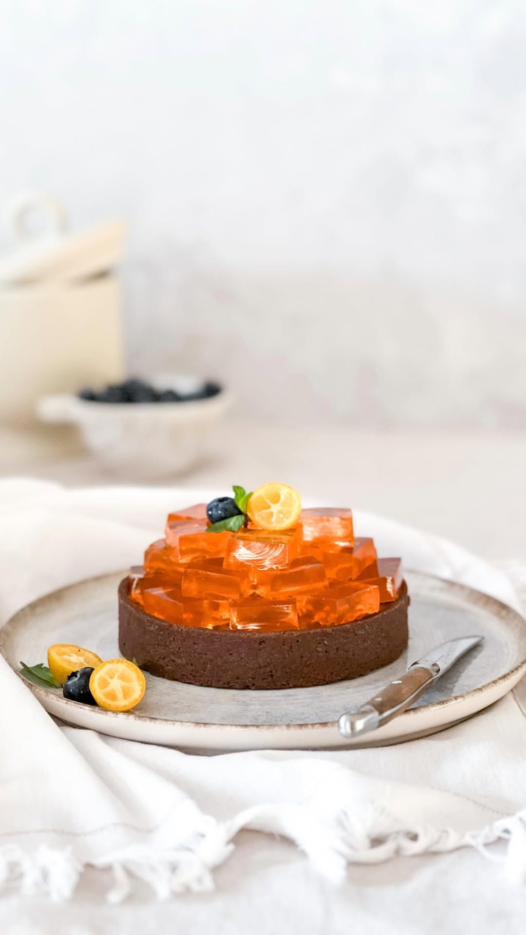 تارت شکلاتی با فیلینگ پودینگ و ژله.jpg